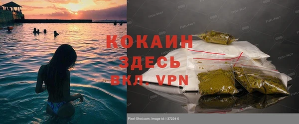 ГАЛЛЮЦИНОГЕННЫЕ ГРИБЫ Майский