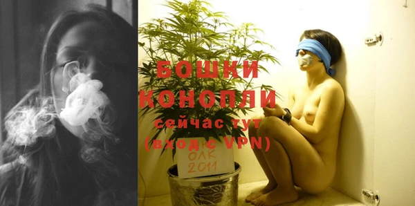 молекула духа Магас