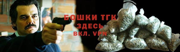ГАЛЛЮЦИНОГЕННЫЕ ГРИБЫ Майский