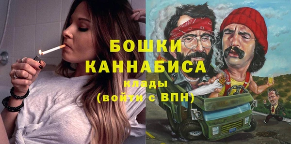 ГАЛЛЮЦИНОГЕННЫЕ ГРИБЫ Майский