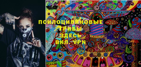 ГАЛЛЮЦИНОГЕННЫЕ ГРИБЫ Майский