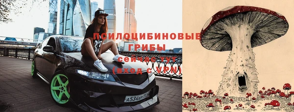 прущая мука Магадан