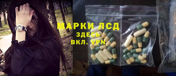 ГАЛЛЮЦИНОГЕННЫЕ ГРИБЫ Майский